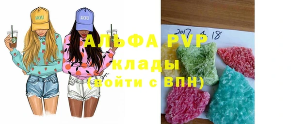 соль ск Новозыбков