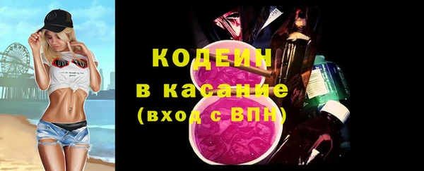 соль ск Новозыбков