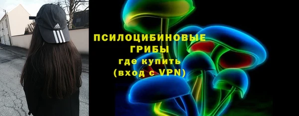 соль ск Новозыбков