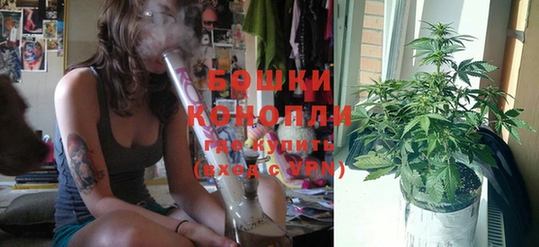 соль ск Новозыбков