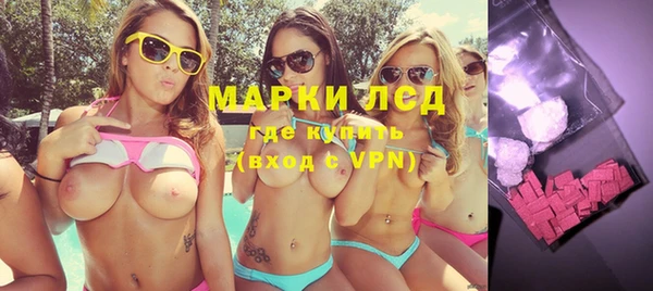 соль ск Новозыбков