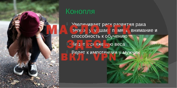 соль ск Новозыбков