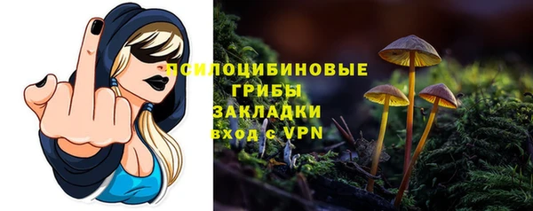 соль ск Новозыбков