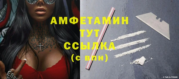 соль ск Новозыбков